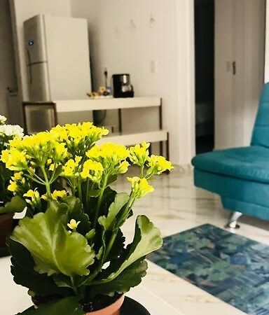 Apartamento No Andar Terreo Foz do Iguaçu Extérieur photo